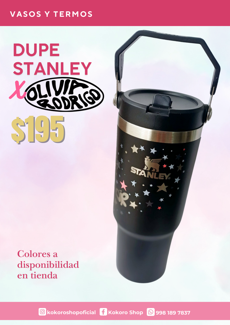 Dupe Stanley Disponibilidad